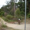 Plaque in honour of Queen Gooseberry, near Bungaree's farm, George's Head